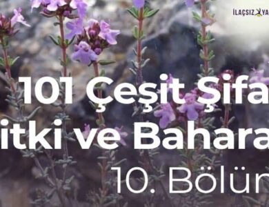 101 Çeşit Şifalı Bitki ve Baharat 10. Bölüm