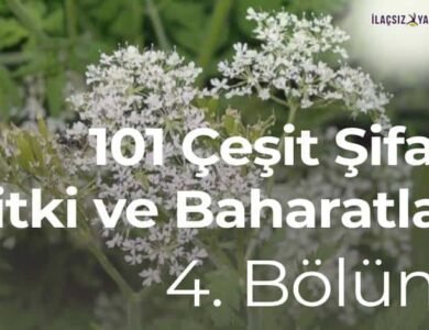 101 Çeşit Şifalı Bitki ve Baharatlar 4. Bölüm