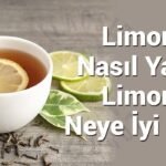 limon-cayi-nasil-yapilir