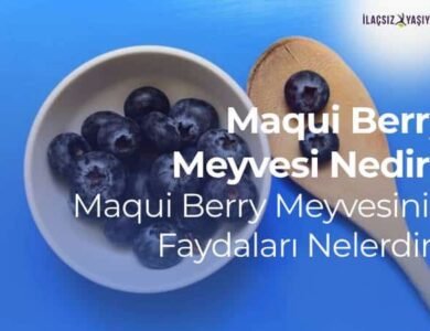 Maqui Berry Meyvesi