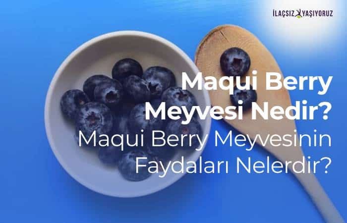 Maqui Berry Meyvesi
