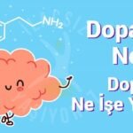 dopamin-nedir-dopamin-ne-ise-yarar